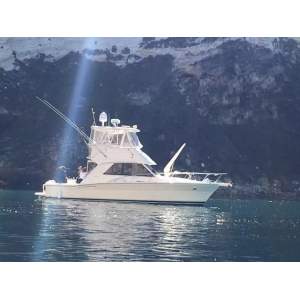 36' RIVIERA 36 CONVERTIBLE (2003) "SALTY PICKLE"
